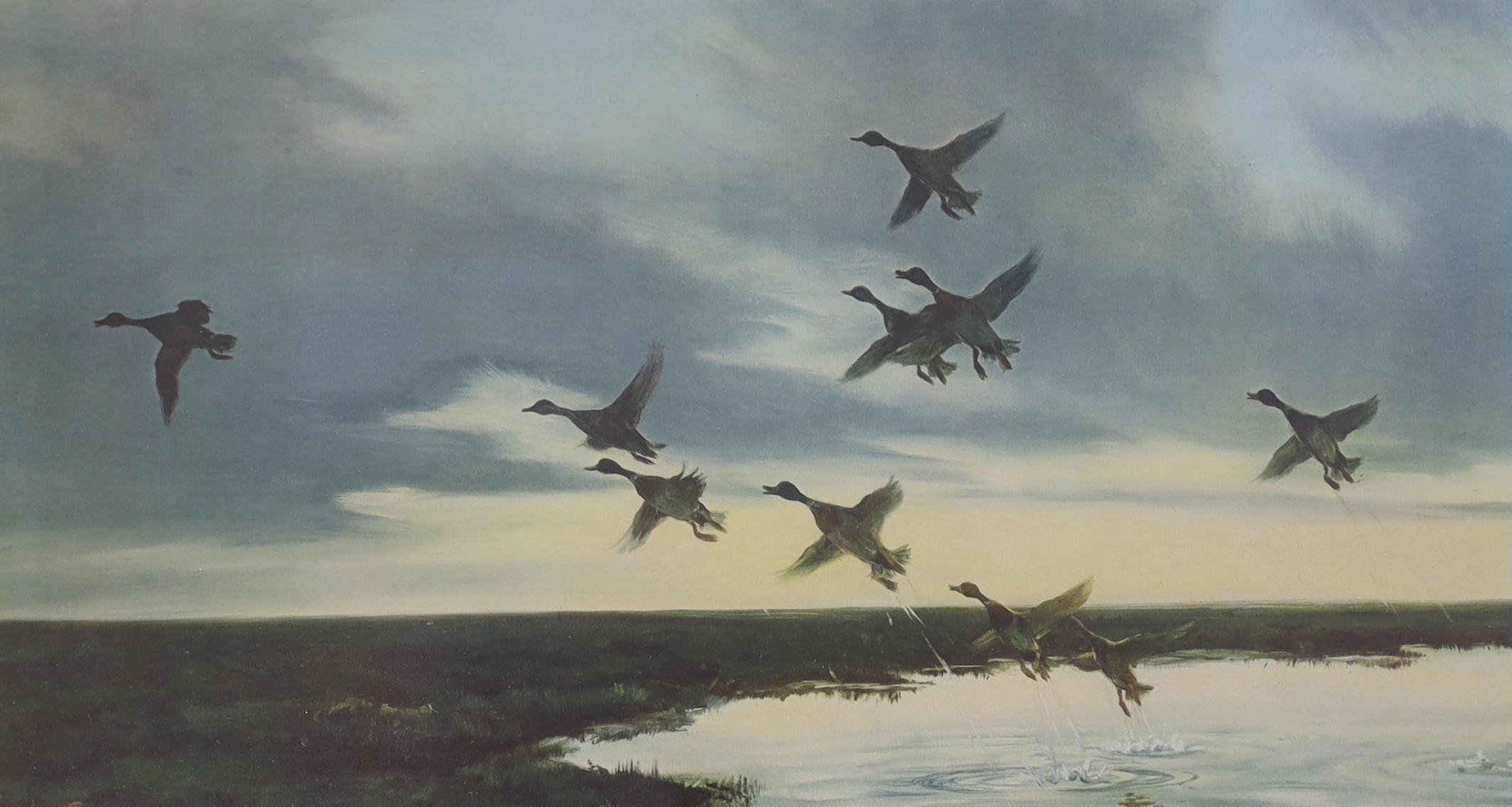 Peter Markham Scott (1909-1989) two colour chromolithographs, Birds in flight, publ. Arthur Ackerman, London, signed in pencil, each with embossed blindstamp, largest 57 x 33cm